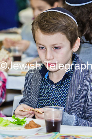 KD Primary - Seder 11